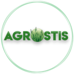 Agrostis (2)1